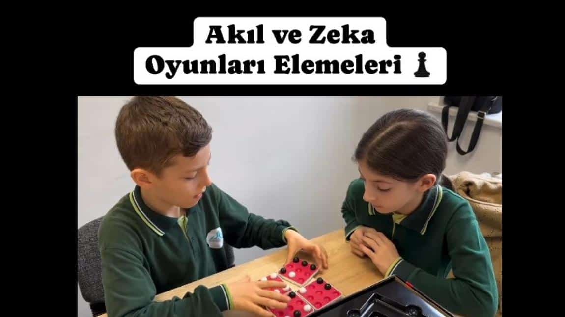 Türkiye Akıl ve Zeka Oyunları